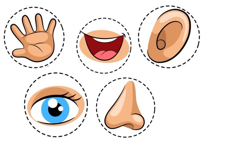 مجموعة من الطلاب يقدمون الإذاعة المدرسية في طابور الصباح، تعبيرًا عن أهمية المشاركة الطلابية والأنشطة المدرسية