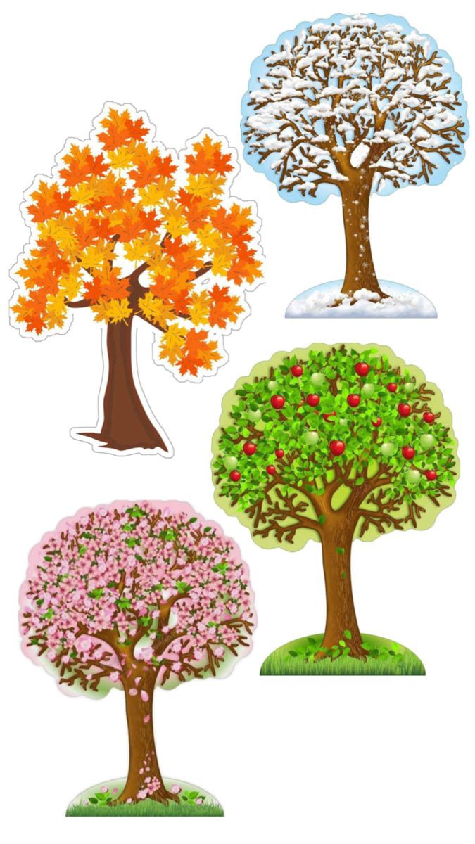 طلاب يقدمون الإذاعة المدرسية في ساحة المدرسة عن تعاقب الفصول الأربعة