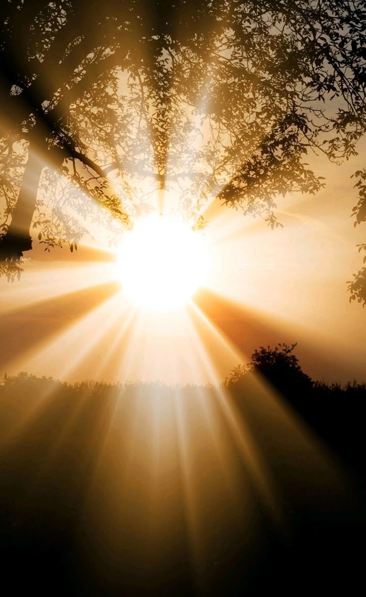 طلاب يقدمون الإذاعة المدرسية في طابور الصباح، مع شعار الشمس يرمز لموضوع اليوم.