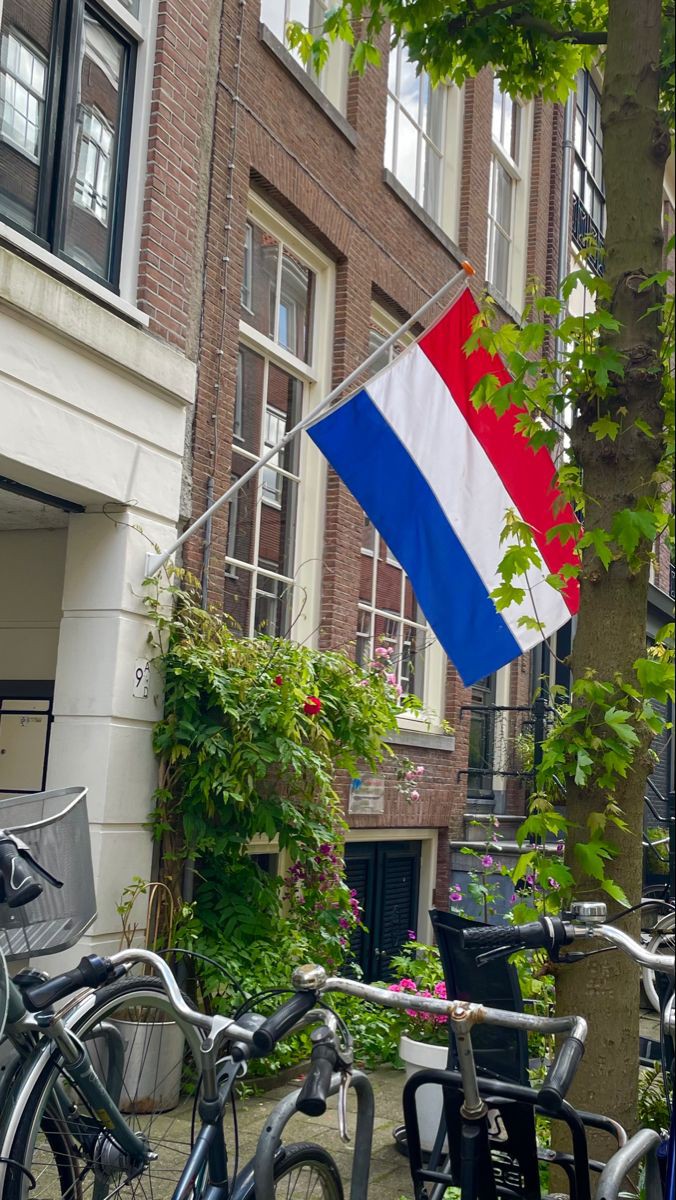 صورة تعبيرية لطواحين الهواء وزهور التوليب الشهيرة في هولندا، كمثال لموضوع شيق في الإذاعة المدرسية