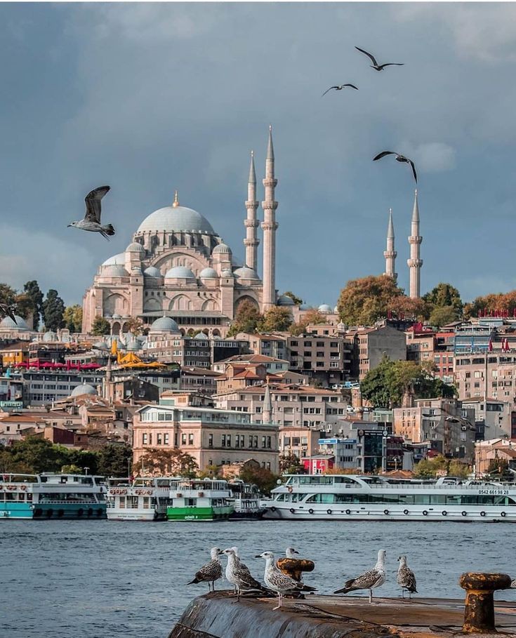 طالب يلقي كلمة الصباح في الإذاعة المدرسية عن دولة تركيا أمام زملائه في الطابور الصباحي